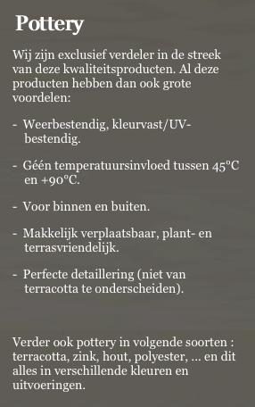 boomkwekerijvanthienen