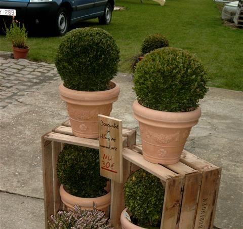 pot2